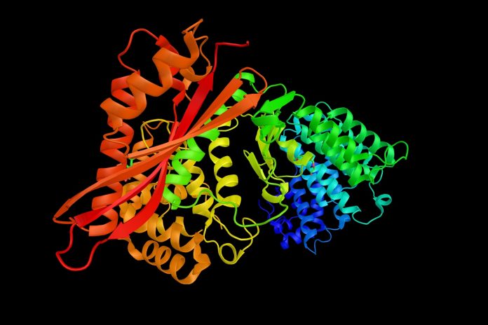 cytokiny