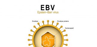wirus_EBV_choroba_z_lyme_borelioza_i_koinfekcje