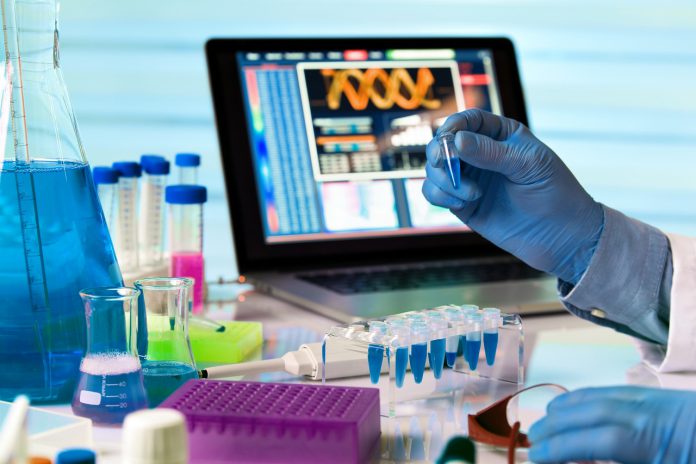 metylacja_diagnostyka_choroby_z_lyme_boreliozy_objawy_schorzenia