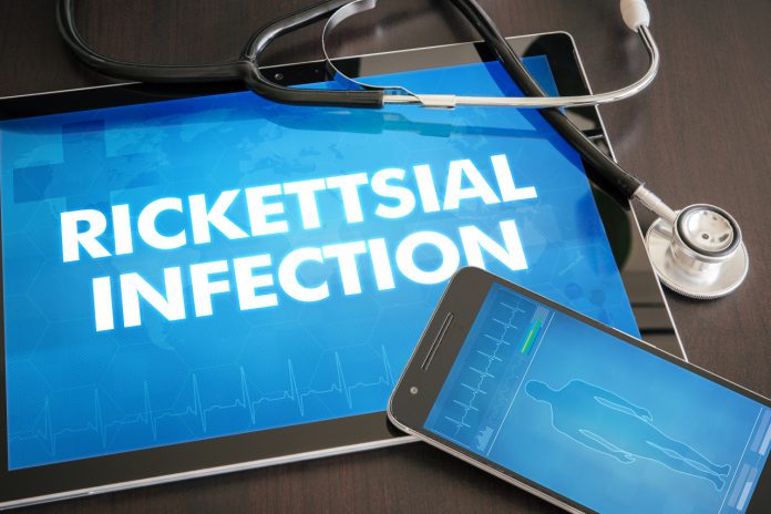 Rickettsia borelioza koinfekcje objawy leczenie_problemy diagnostyczne