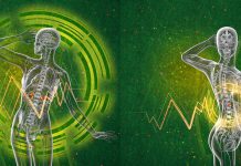 Zmęczenie nadnerczy u kobiet nadnercza zmęczenie nadnerczy borelioza