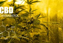 Zielsko od zadań specjalnych