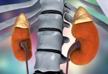 Detoksykacja – nerki detox organizmu