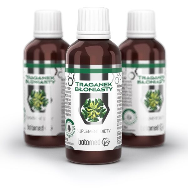 Astragalus