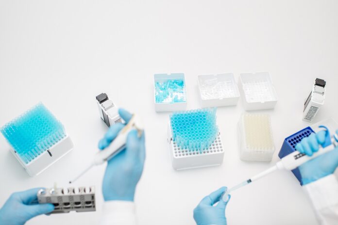 Western Blot